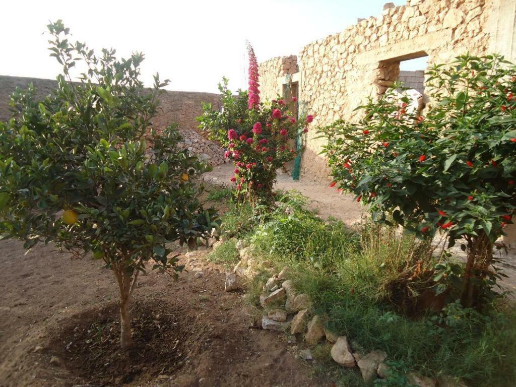 El Borj Takad Dream Rural 아파트 외부 사진